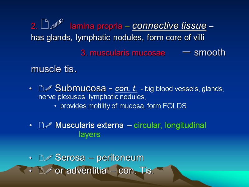 2.   lamina propria – connective tissue –  has glands, lymphatic nodules,